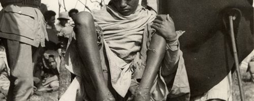 Portfolio di Michela Fantozzi