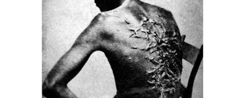 Portfolio di Michela Fantozzi